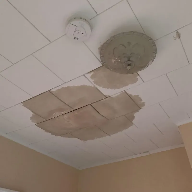 Ceiling Water Damage Repair in Hebron, IN