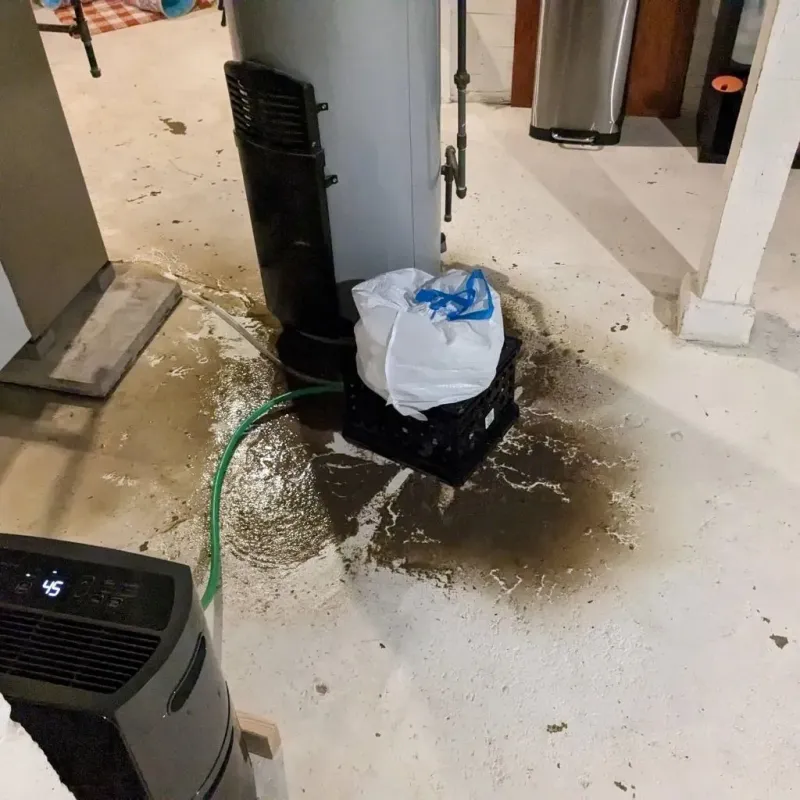 Sewage Backup Cleanup Service in Hebron, IN